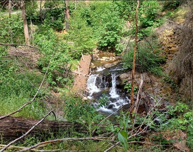 Bedrock Paradise Placer 20 acres El Dorado County Mining Claim in California