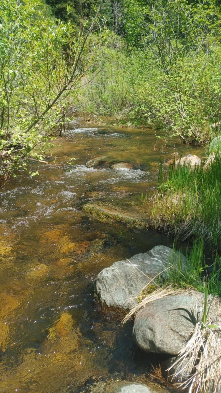 Gold Claim 20 Acre Mineral mining Camping Prospecting 4x4 Fishing creek camp