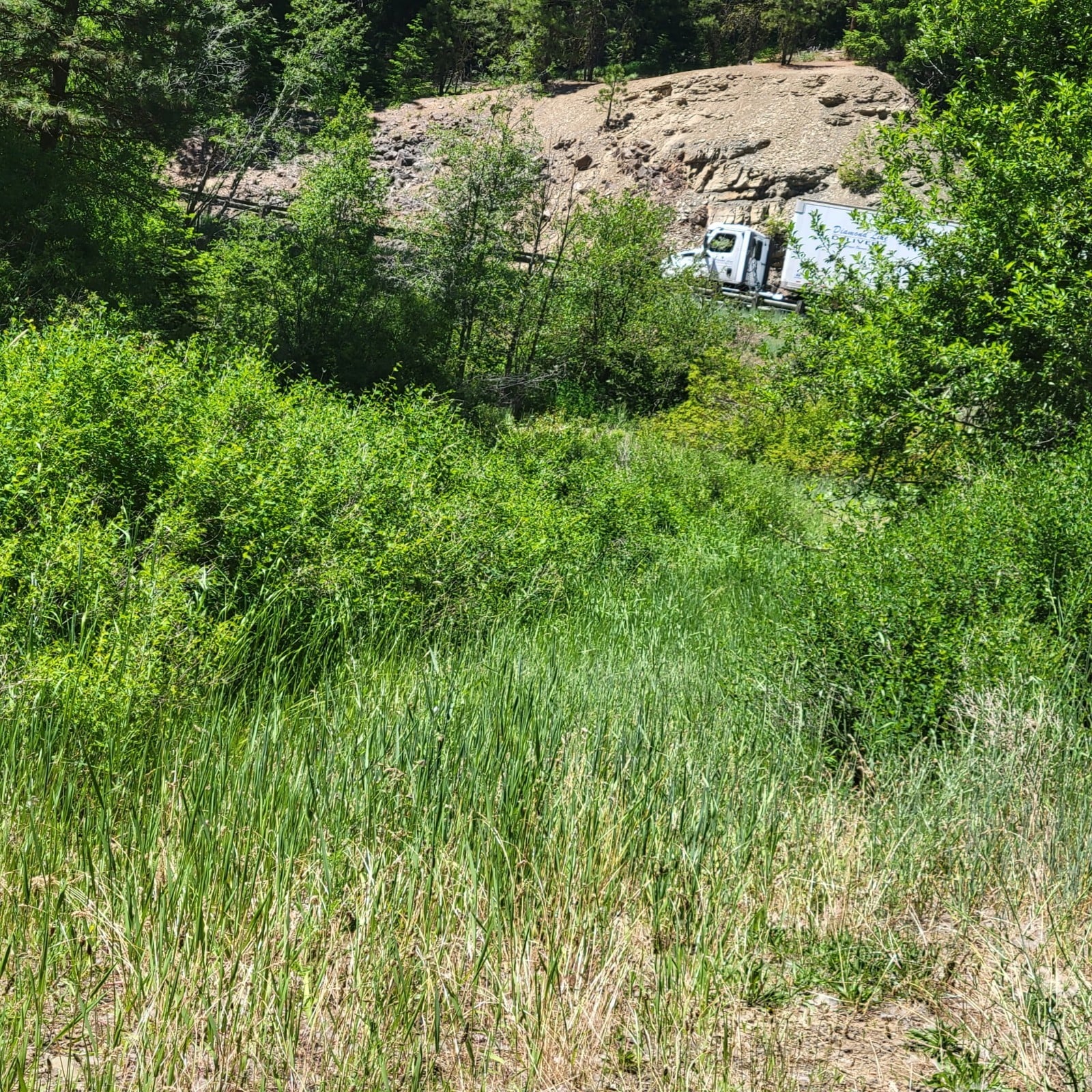Mineral Rights Claim In Swauk Creek ---***GOLD - PLUS*** Washington State