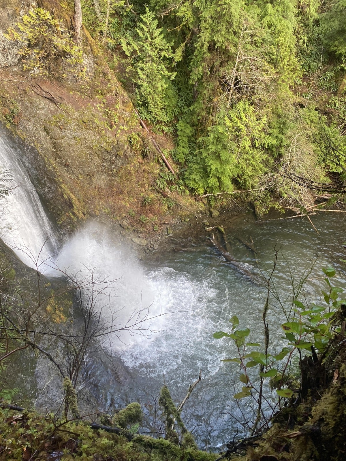 🏔️ WATERFALL PLACER GOLD MINING CLAIM – SPOON CREEK – OLYMPIC NATIONAL FOREST –