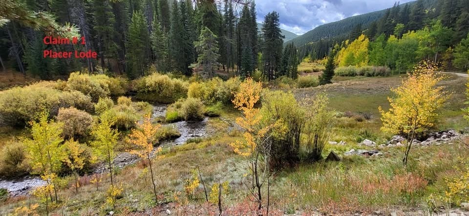 Mining Claim Gold Belt PLacer Lode 100 Acres Leadville Colorado