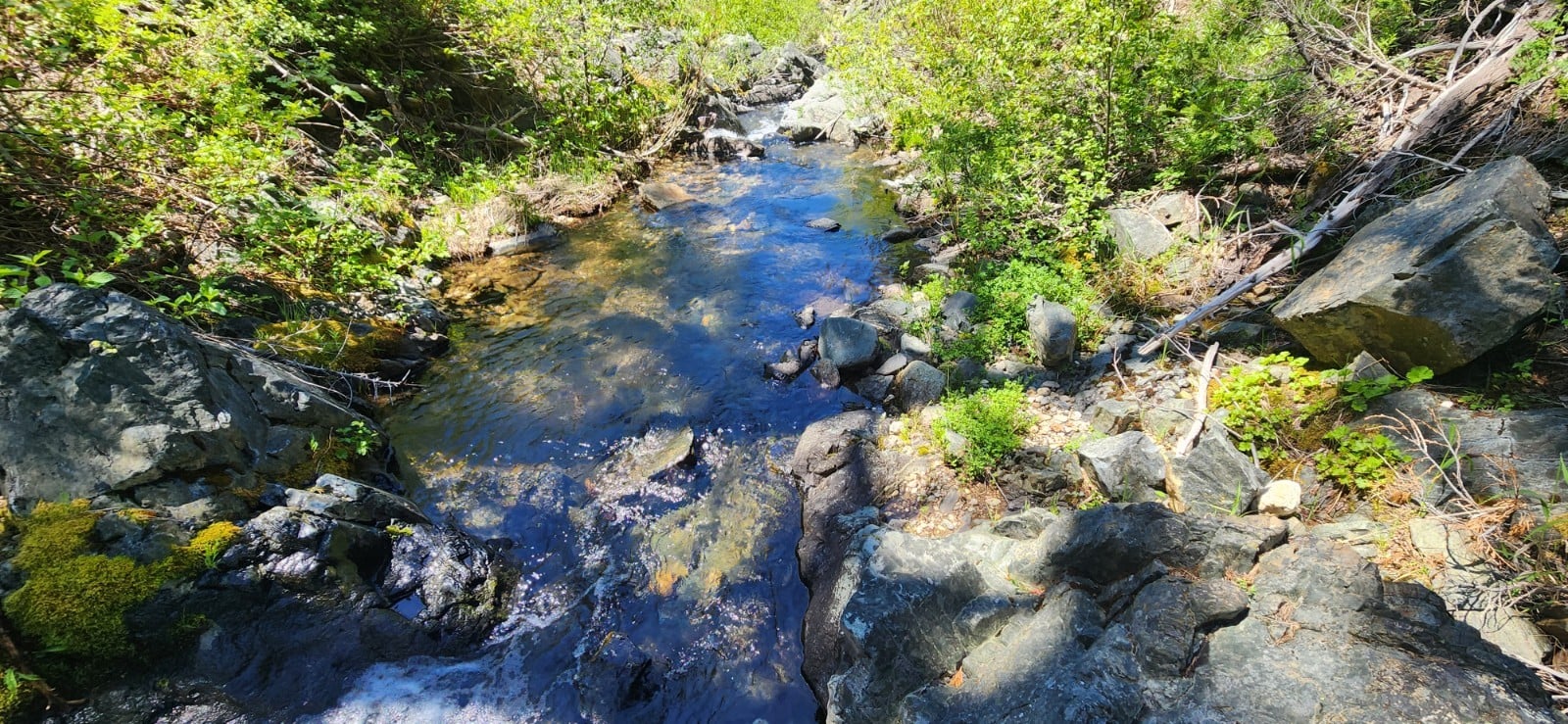 "BRAVEHEART" 40AC UNPATENTED PLACER MINING CLAIM PLUMAS CO. CA. CA#106844602 