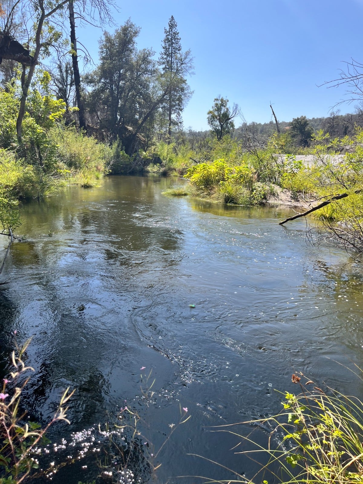 40 Acre Placer Mining Claim – Willow North Fork – Madera County CA