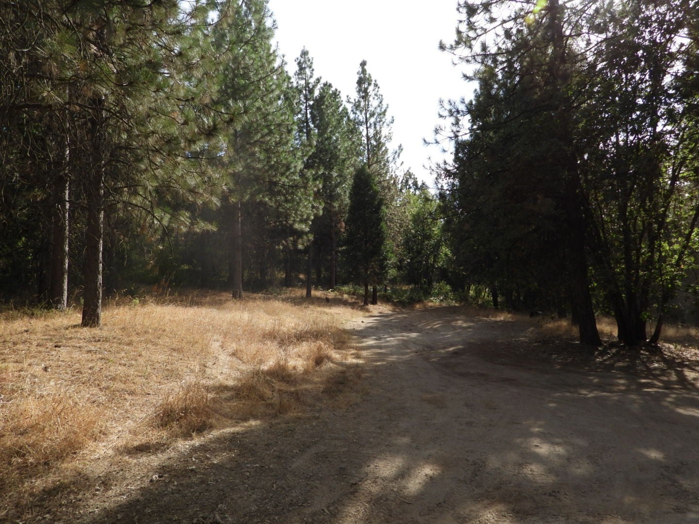 Mining Claim – 40 Acre Big Creek Placer Gold Claim | Tuolumne County, CA