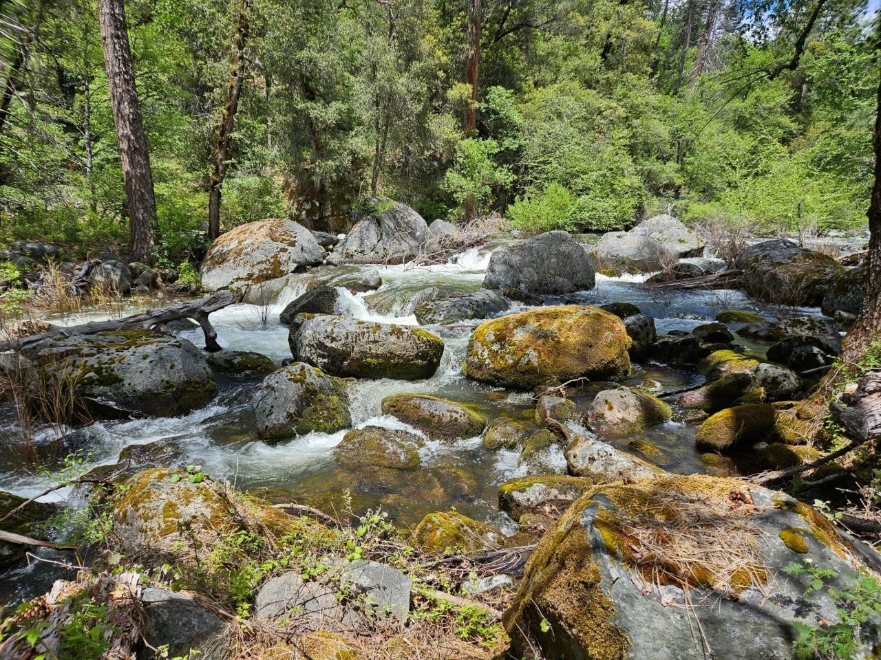 Stanislaus River Gold Reserve, 40-Acre Gold Mining Claim, Tuolumne County, CA