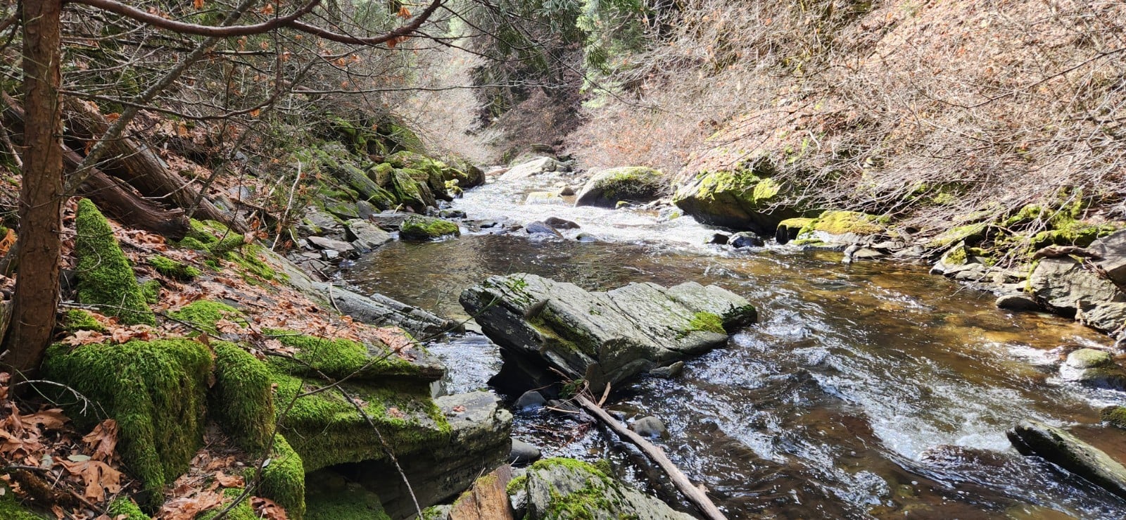 BEAR DEN II 40ac UNPATENTED PLACER MINING CLAIM. NEVADA CO CALIFORNIA $6000