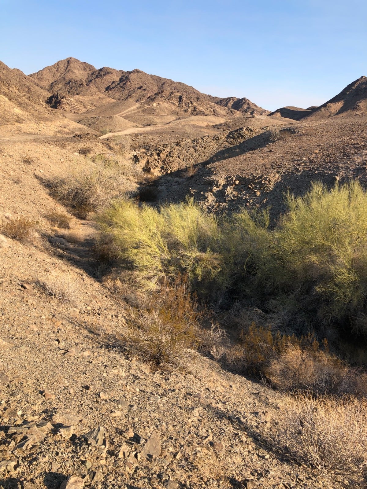 20 Acre Unpatented Placer Mining Claim