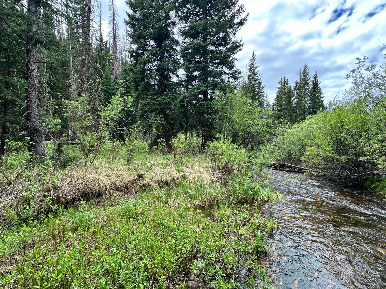 LOOK! 20 Acre ACTIVE Mining Claim Jackson County Colorado Illinois River GOLD !!