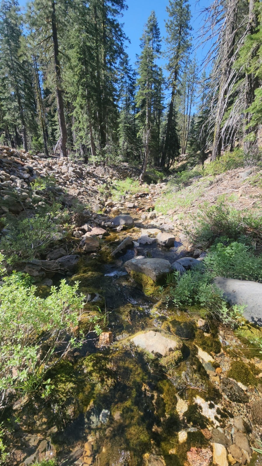 "DEPOT DIGGINS" CACA106807584 20AC UNPATENTED PLACER MINING CLAIM SIERRA CO CA