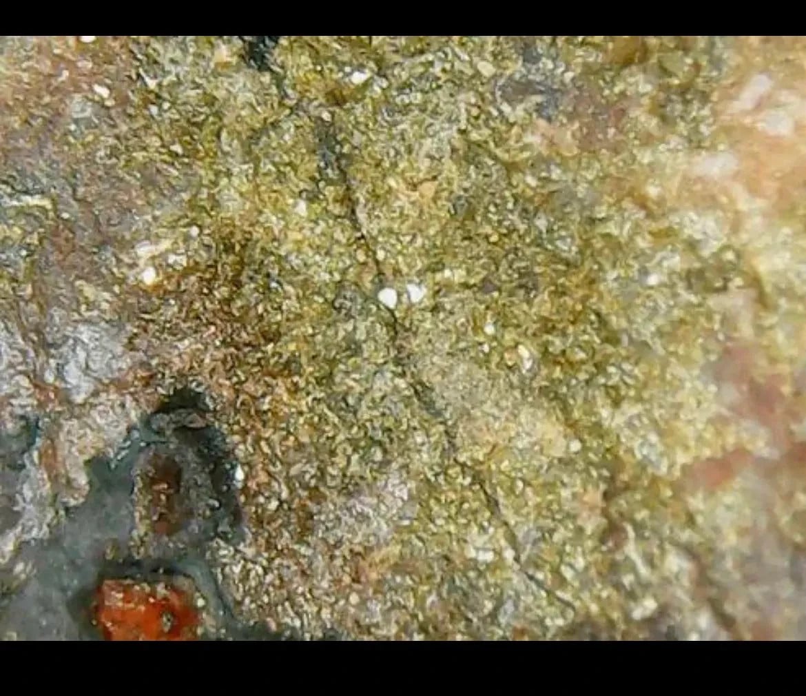 20.66 Acre Gold Lode Mining Claim - Nevada Historic Producer - Gold Silver