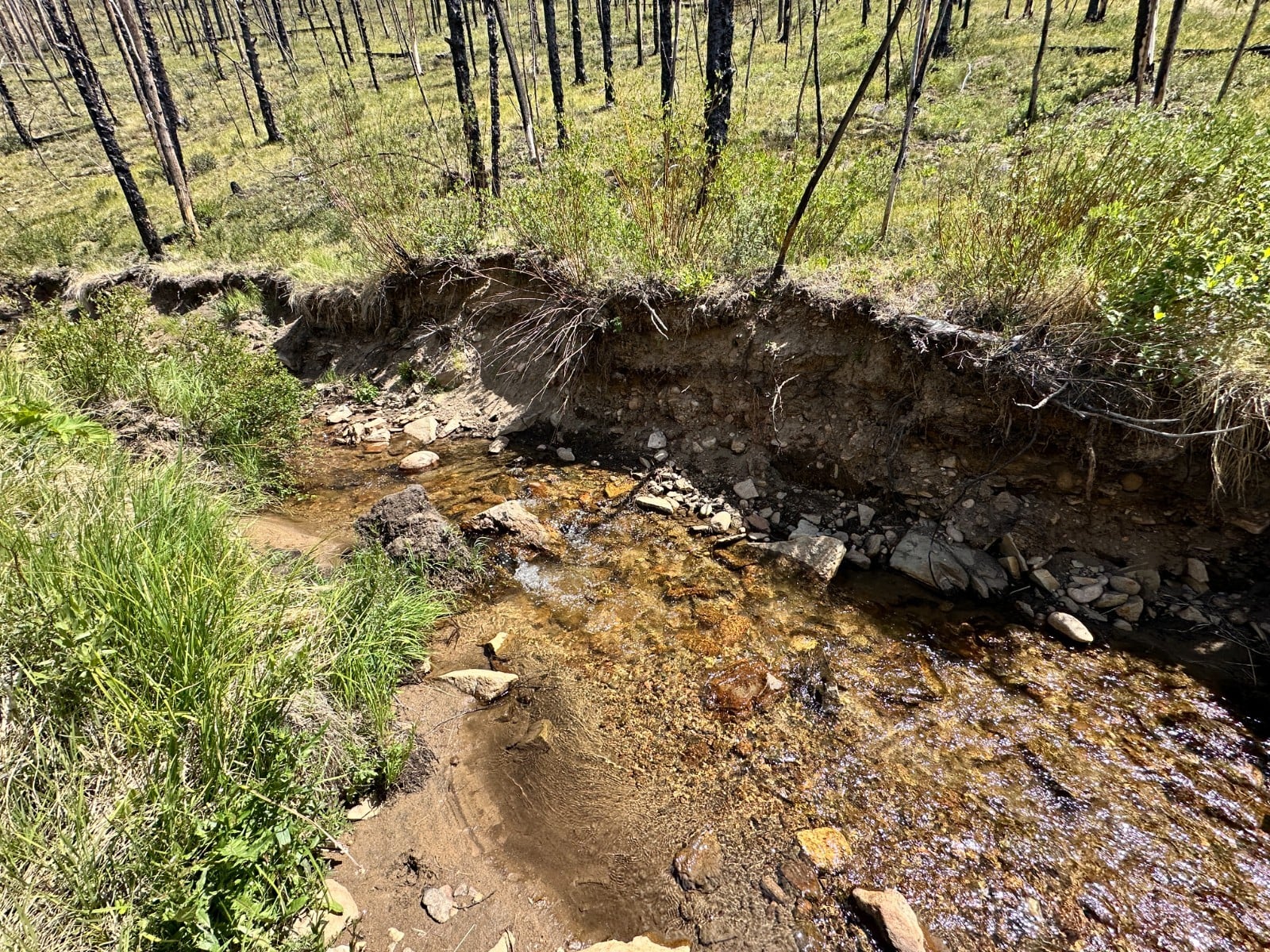 WONDERFUL 20 Acre Mining Claim Grand County Kaufman Creek GOLD CAMP Colorado