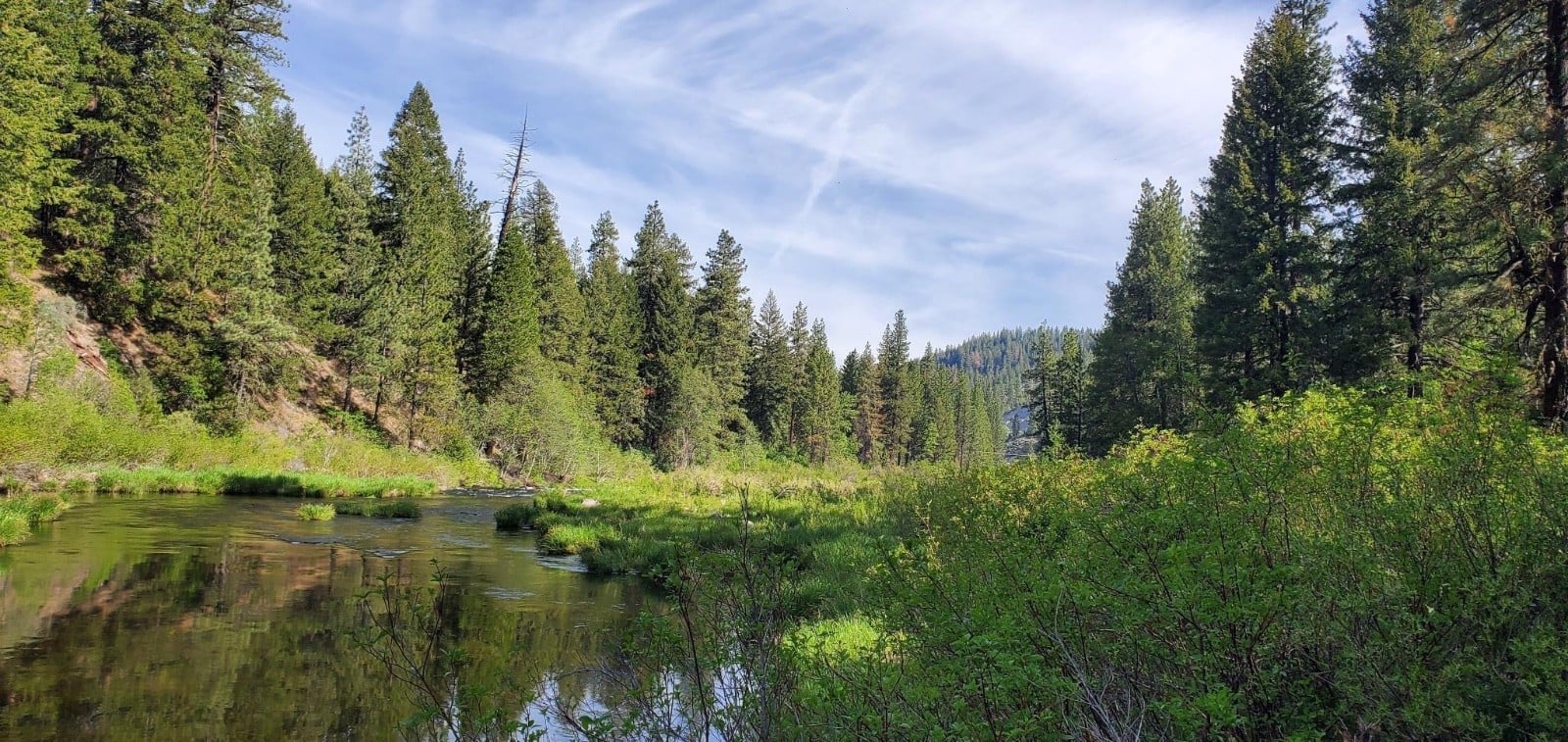 The Lucky Seven – 40 Acre Placer Gold Mining Claim – Plumas County CA