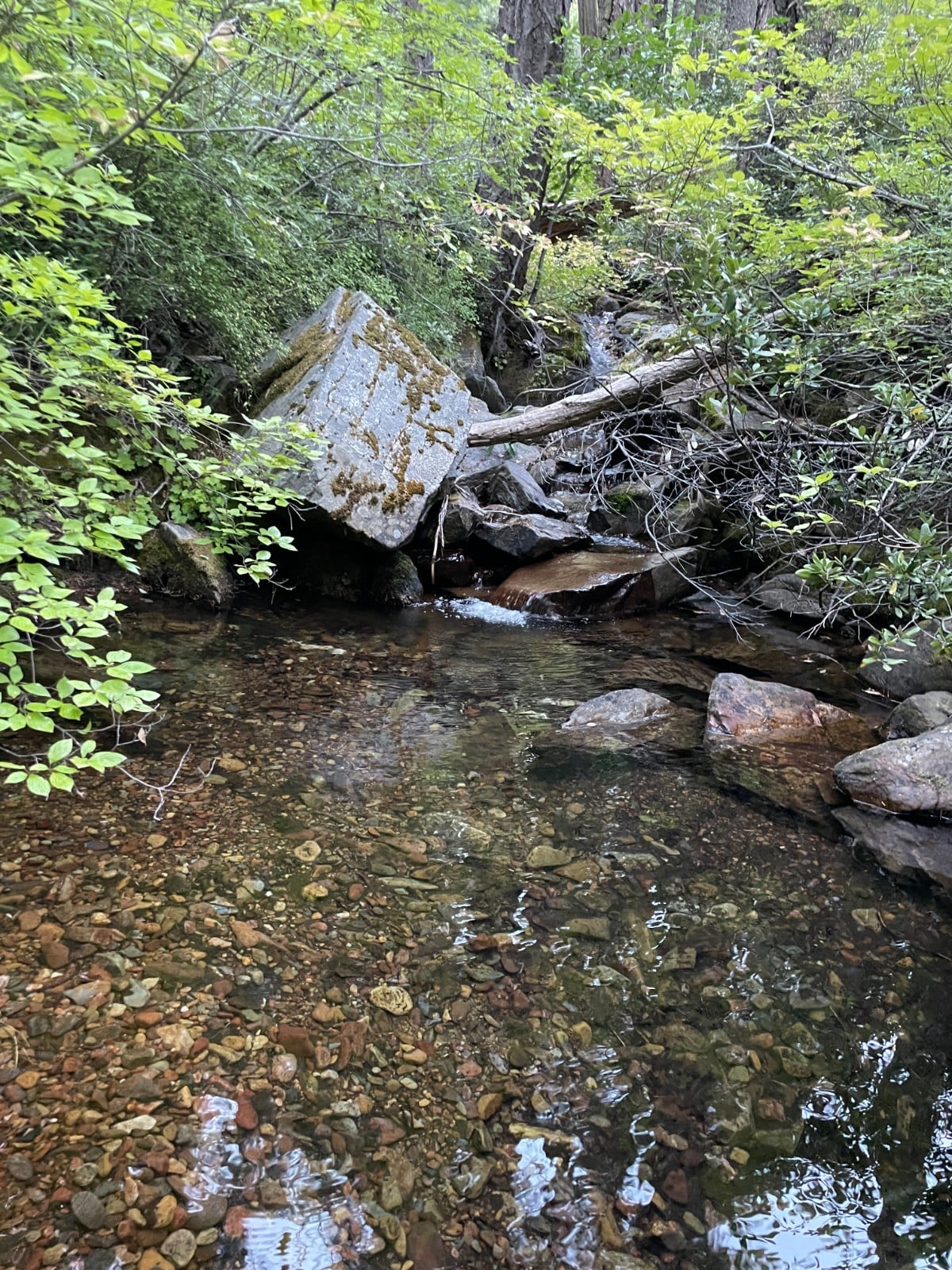Mining Claim – 40 Acre MOSQUITO Placer Gold Claim | Placer County, CA