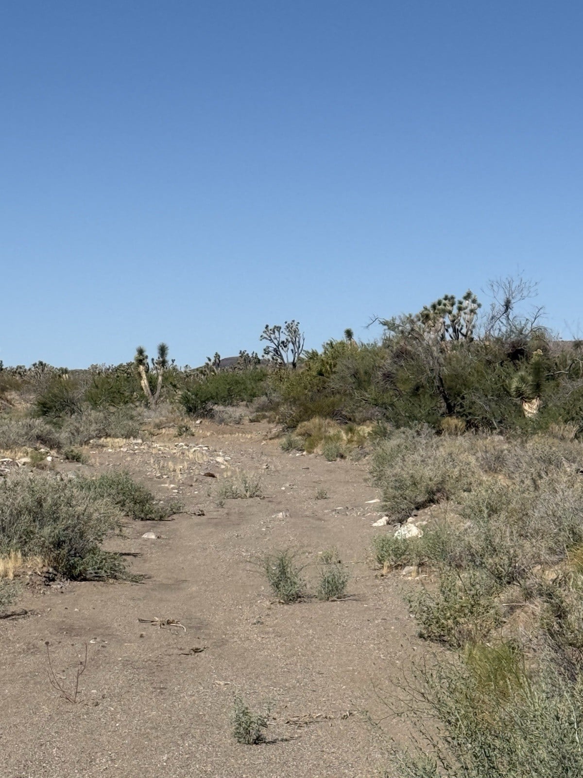 Placer Gold Mine On 10 acres Of Private Land! Real Estate Off Grid Acreage