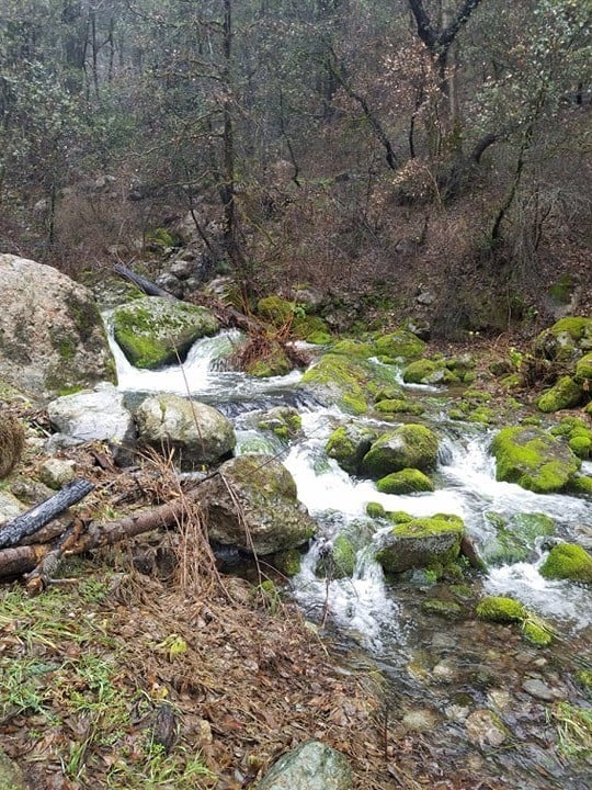 Gold Claim 20 Acre Mineral mining Camping Prospecting 4x4 hunt creek camp