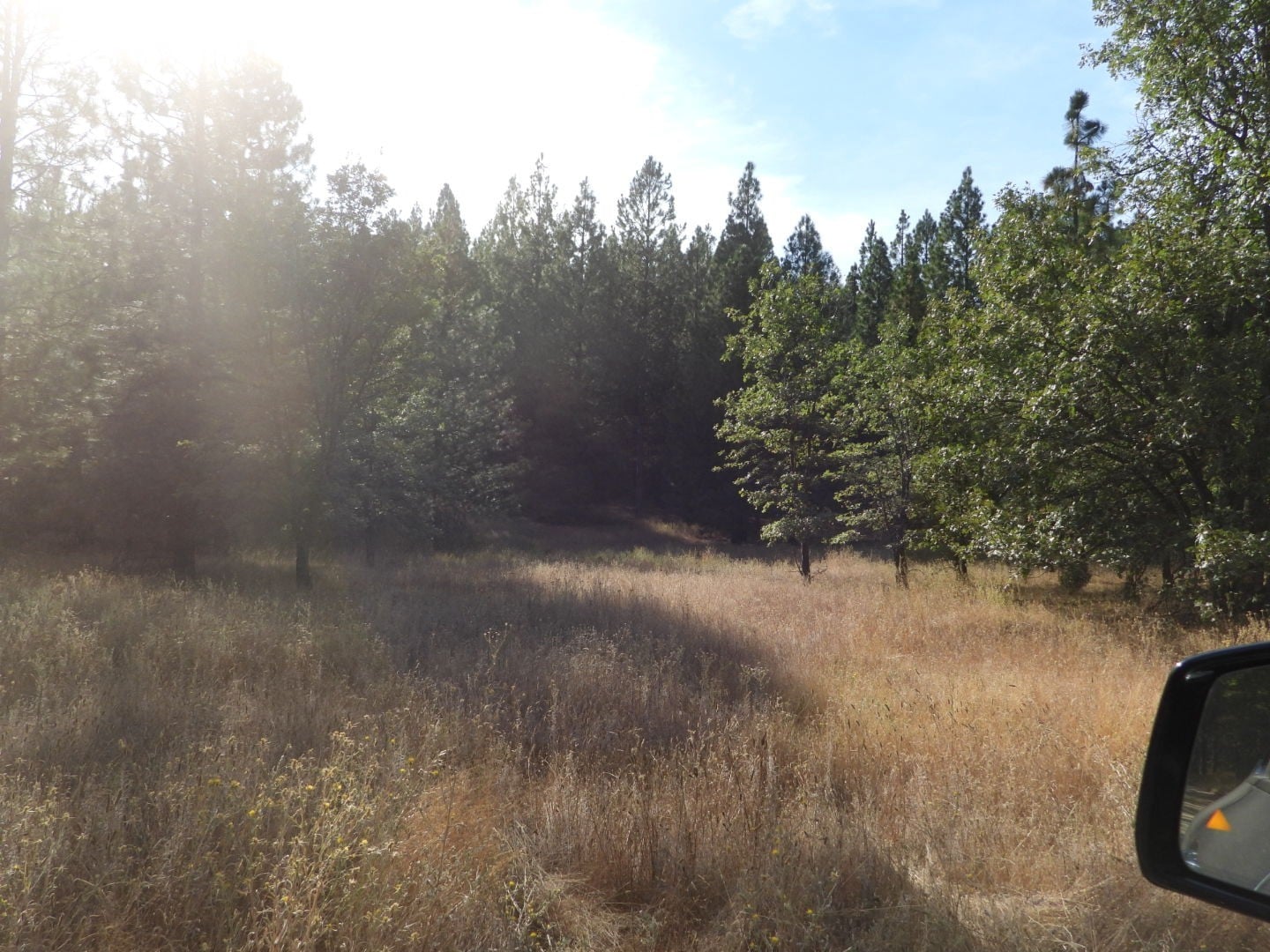 Mining Claim – 40 Acre "Big Creek" Placer Gold Claim | Tuolumne County, CA