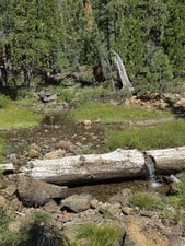 Gold Claim 20 Acre Mineral mining Prospecting 4x4 hunt Creek camp off roading