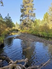 Gold Claim 20 Acre Mineral mining Camping Prospecting 4x4 Fishing creek camp