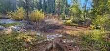 "NEW SECRET DIGGINS" CA#106707802 UNPATENTED PLACER CLAIM PLUMAS CO. $2500
